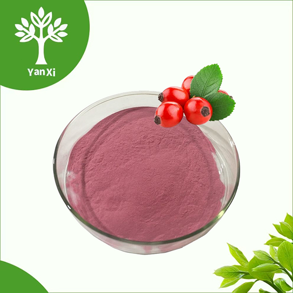 Rosehips Powder Bulk Rosehips Powder Bulk